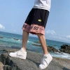 Men's summer Korean style trendy brand loose straight-leg pants, 5-inch loose high street sport pants for outerwear Application Scenario